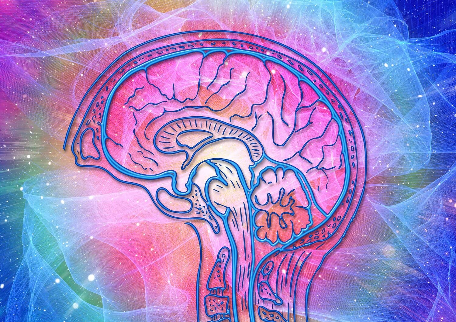 psychedelic research phd programs